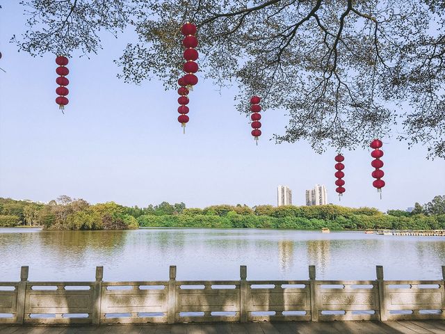信步閒遊大夫山