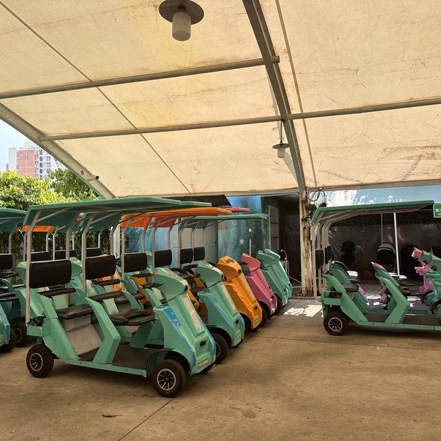 深圳野生動物園🐈‍⬛🐈‍⬛
