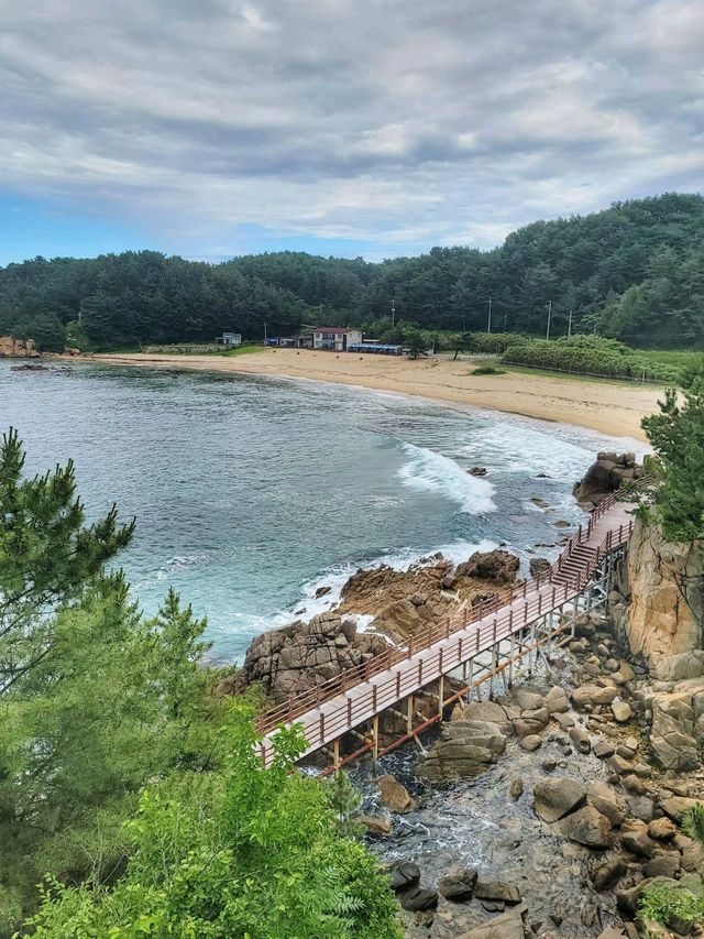 뷰도 즐기고 스노클링도 즐기는 하조대 전망대🌈
