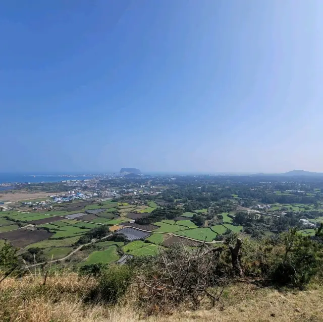 두근두근여름휴가 제주도 여행 제주 두산봉