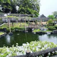 曼陀羅寺公園