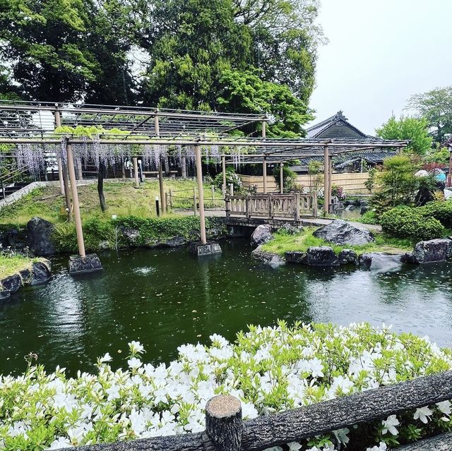 曼陀羅寺公園
