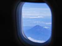 【NH】羽田→宮崎 プレミアムクラス✈️
