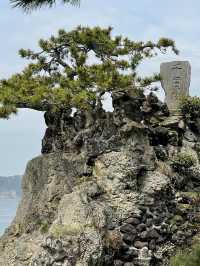 【神奈川県/森戸神社】海辺に鎮座する景色抜群の神社