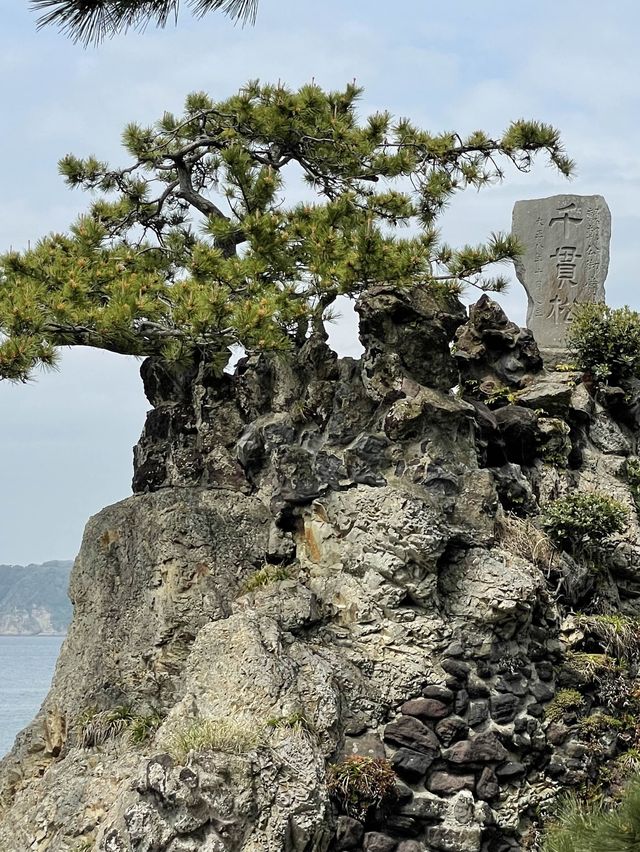 【神奈川県/森戸神社】海辺に鎮座する景色抜群の神社