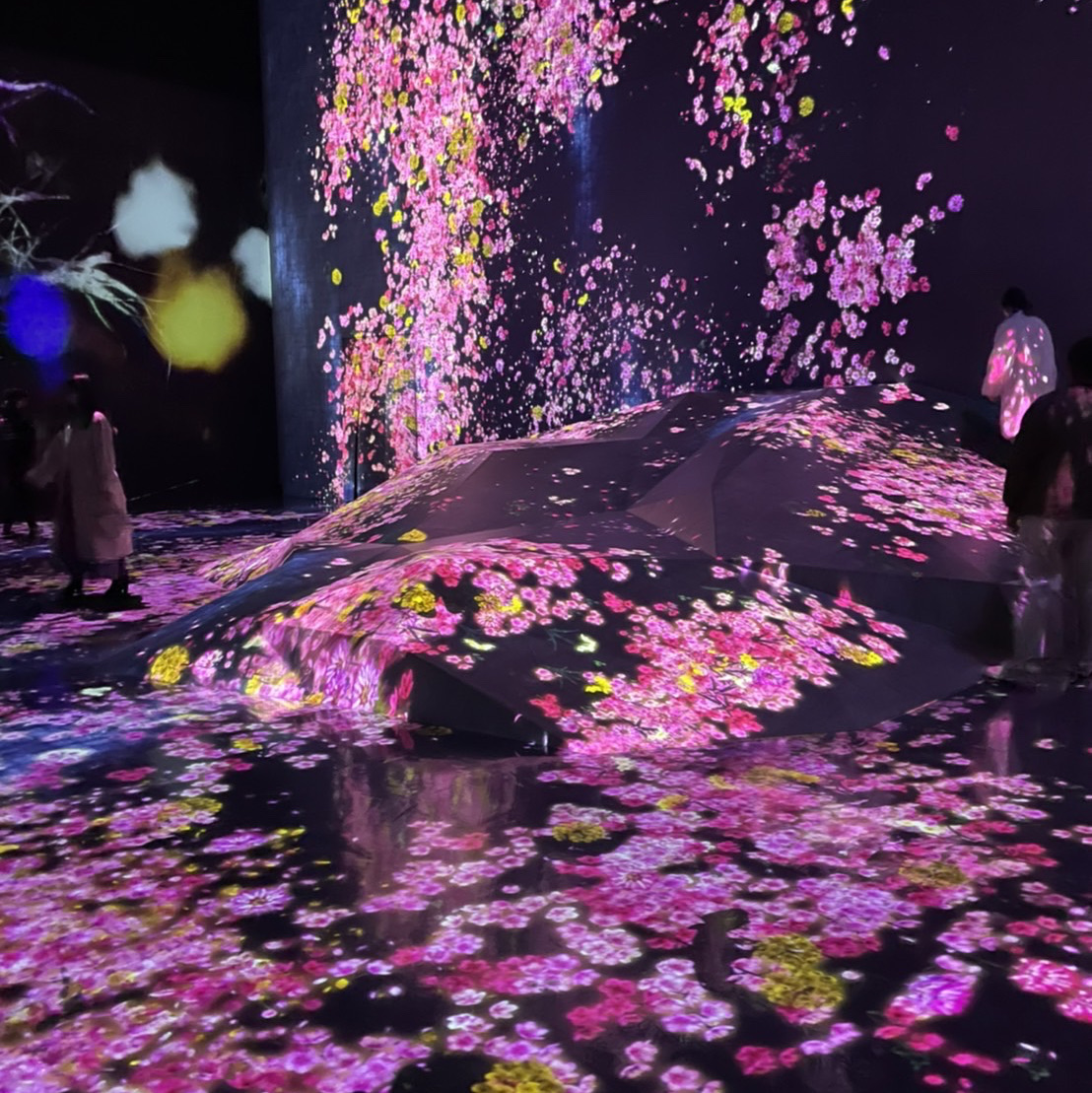 チームラボお台場はすごく幻想的✨ | Trip.com 東京