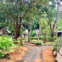 Cameron Island Resort