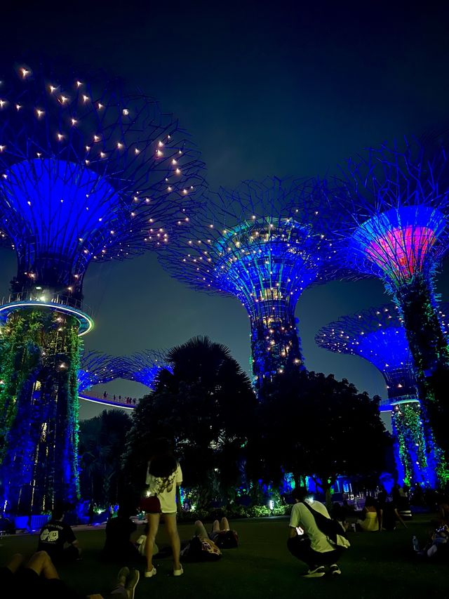 Stunning Supertrees at night✨