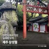 한반도에서 가장 오래된 유적 🪵 제주 삼성혈