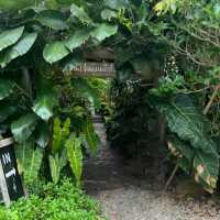 Jone's Garden 