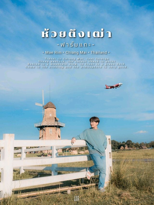 เชียงใหม่ก็มีฟาร์มแกะนะ 🐑