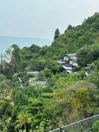 蘇梅島康萊德度假村🏨奢華海濱享受🌴🏝️🏊‍♂️