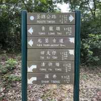 🏞️👣 元荃古道～征服山徑🏞️👣🌳