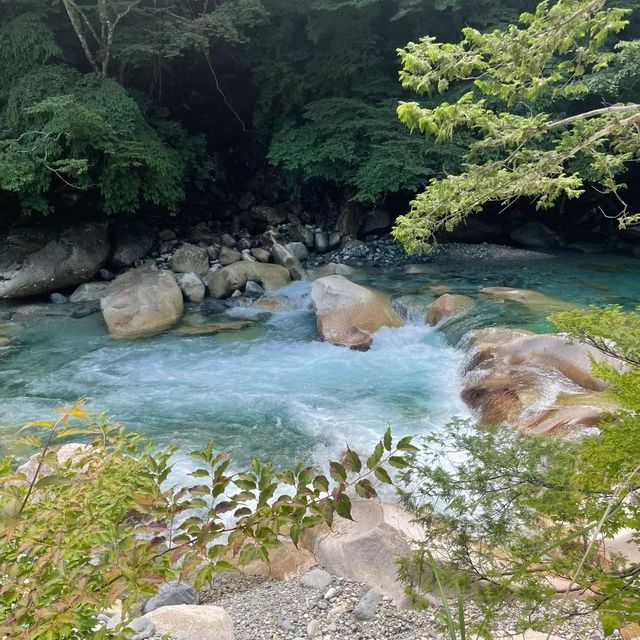 🌳🦋 清溪森林公園～與大自然共舞！🌿🏞️🌼