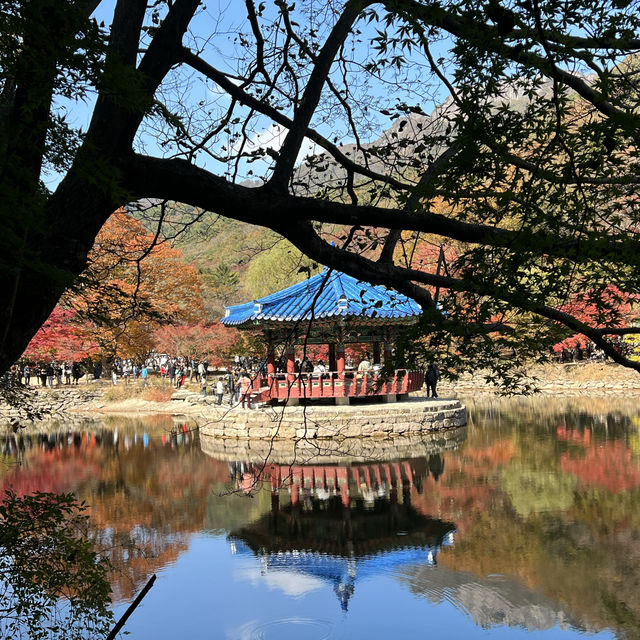 The Place with Eternal Autumn Foilage!