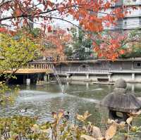 《兵庫 神戸》　日本最古級の神社⛩️