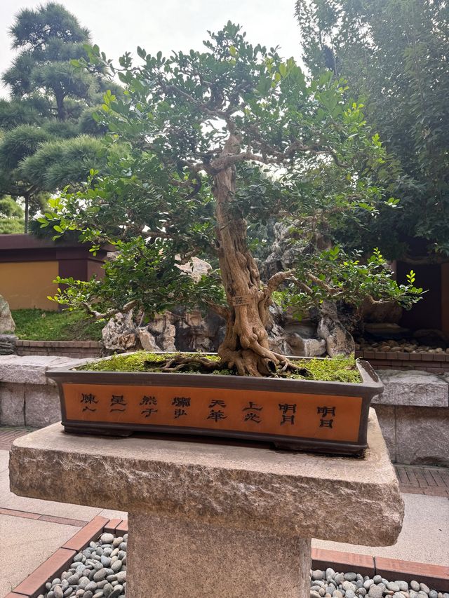 一人之境🙌🏻在鑽石山遊京都金閣寺😁