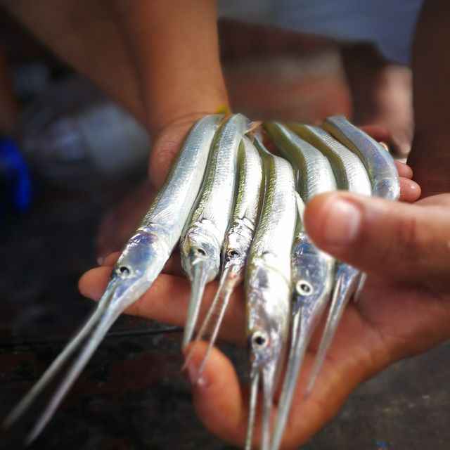 Segantang Garam Chalet Fishing Port!