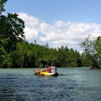 พายเรือคายัคลอดถ้ำที่อ่าวพังงา