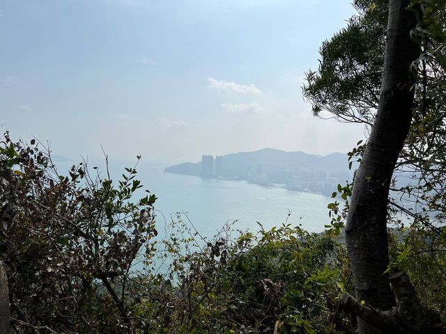 藍田後花園 魔鬼山