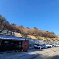 추운 겨울 실내데이트 하기에 좋은 무주 머루 와인동굴