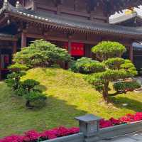 珍石展覽！大雄殿，觀音殿，藥師佛殿環立！氣象千字萬宙！