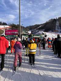 홍천 비발디파크에서 스키 즐기기!⛷️
