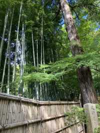 Japan's iconic temple