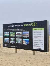 강릉하면 빠질 수 없는