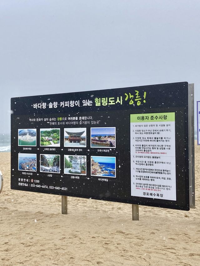 강릉하면 빠질 수 없는