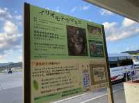 沖縄・西表島。西表島の北側の港です『上原港デンサターミナル』