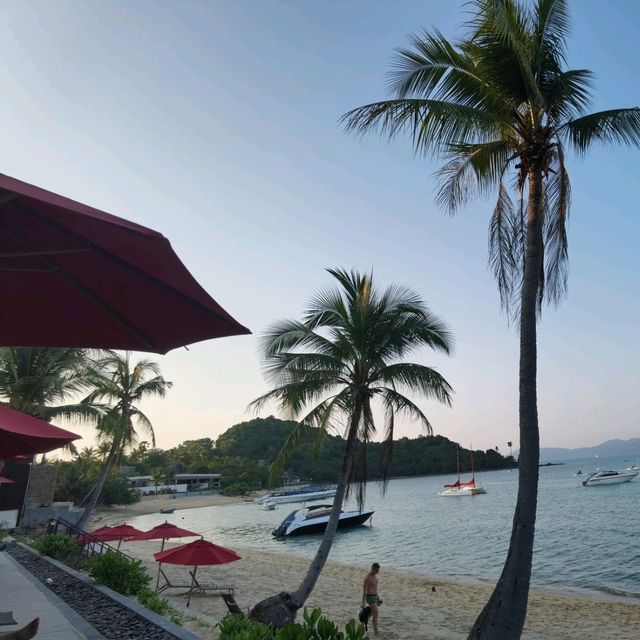 蘇梅平酒店～ Ibis Samui Bophut (公用空間)