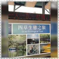 （台南/安南區）台南秘境台版亞馬遜河-超美四草綠色隧道