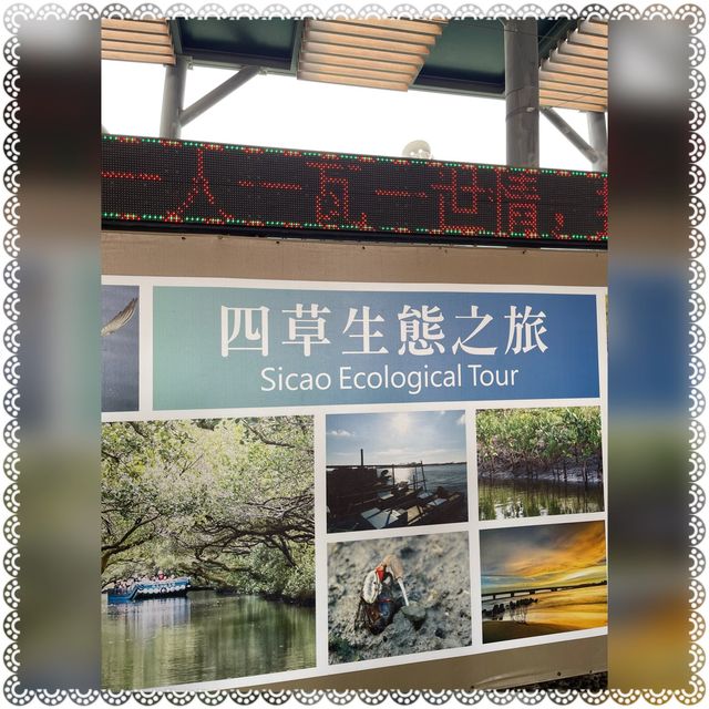 （台南/安南區）台南秘境台版亞馬遜河-超美四草綠色隧道