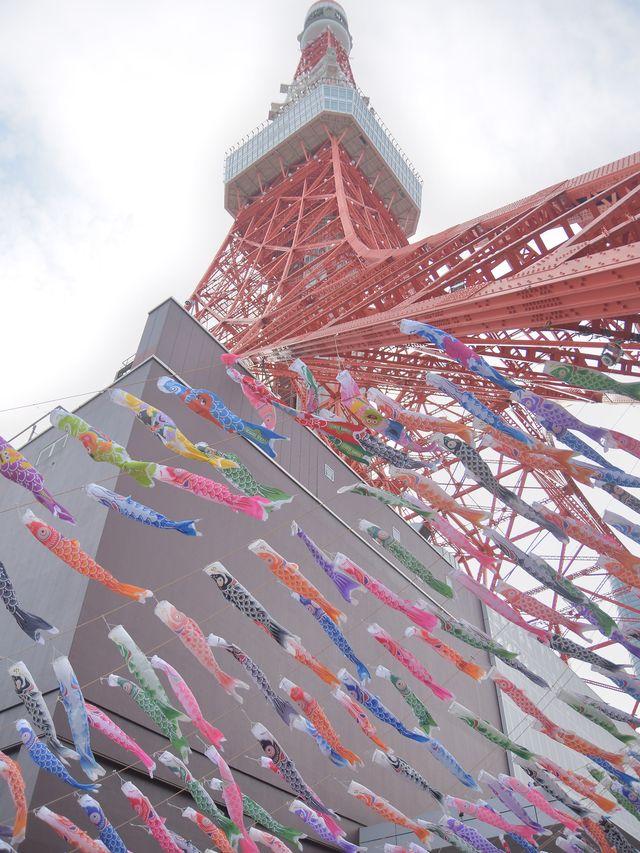 東京タワー✖️鯉のぼり