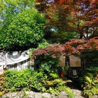 京都生ショコラ オーガニックティーハウス