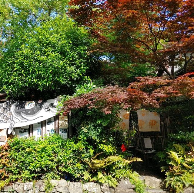 京都生ショコラ オーガニックティーハウス