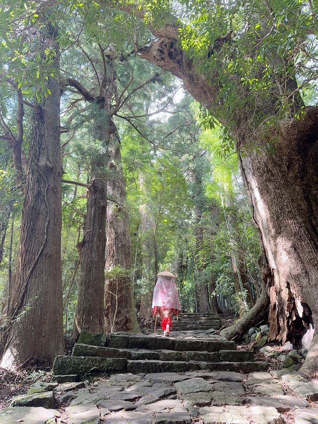 熊野古道から熊野那智大社、青岸渡寺へ
