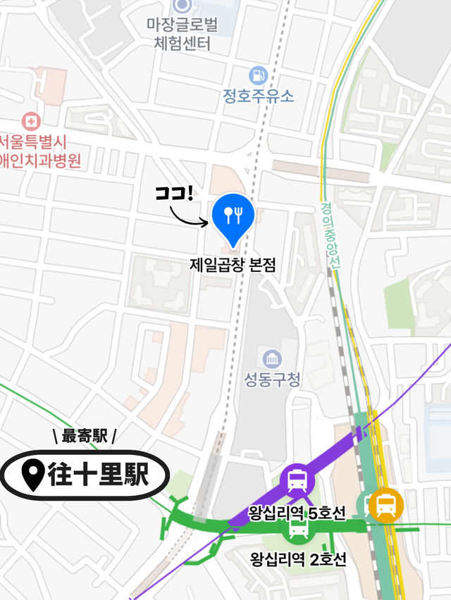 【 韓国 / 往十里 】大人気すぎるコプチャンのお店！
