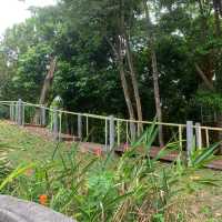 หอชมวิวเขาขาด