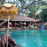 Aria Room & pool