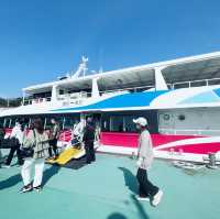 『 🐈藍　相島（あいのしま）🚢  』IN福岡県