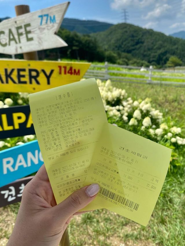 서울근교 가평 양떼목장!