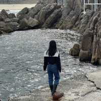맑고 깨끗한 동해 바다를 한눈에 볼 수 있는 양양 하도대 전망대 🐠