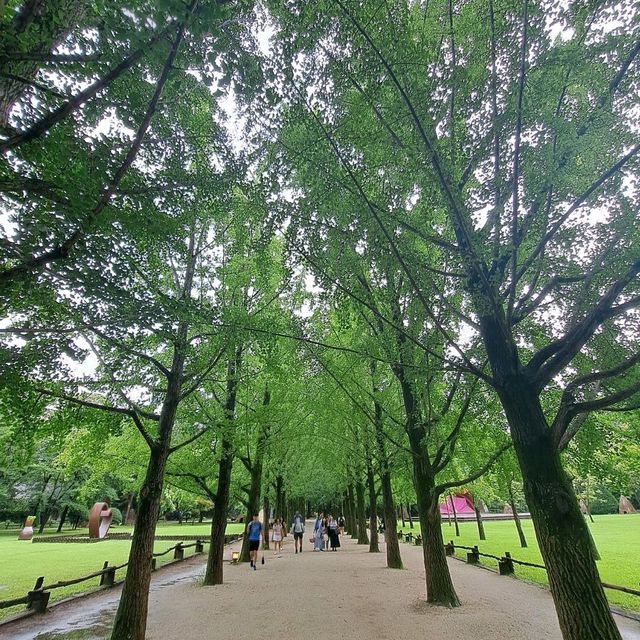 韓國南怡島📸周邊遊覽分享😍熱門景點: 冬季戀歌場地✨