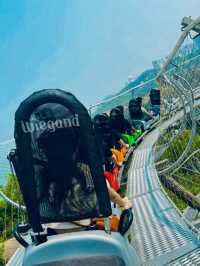 珠海｜一定不能錯過的滑道飛車 •景山公園🎢