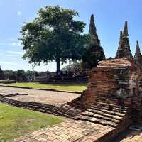 My summer trip to Ayutthaya, Thailand
