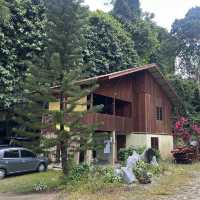 話望生鎮布賴新村 🏠🏘️