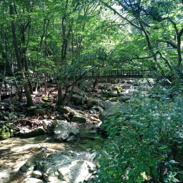 9월초가을 계룡산 국립공원 트래킹이다
