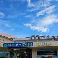 造就別府溫泉鄉的日本名山鶴見岳⛰️